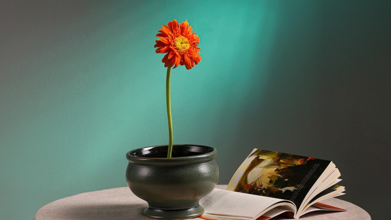 Home untitled design (5)